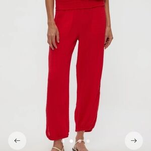 NWT Michael Stars Clover Jogger Pants Size Small - Color Rumba